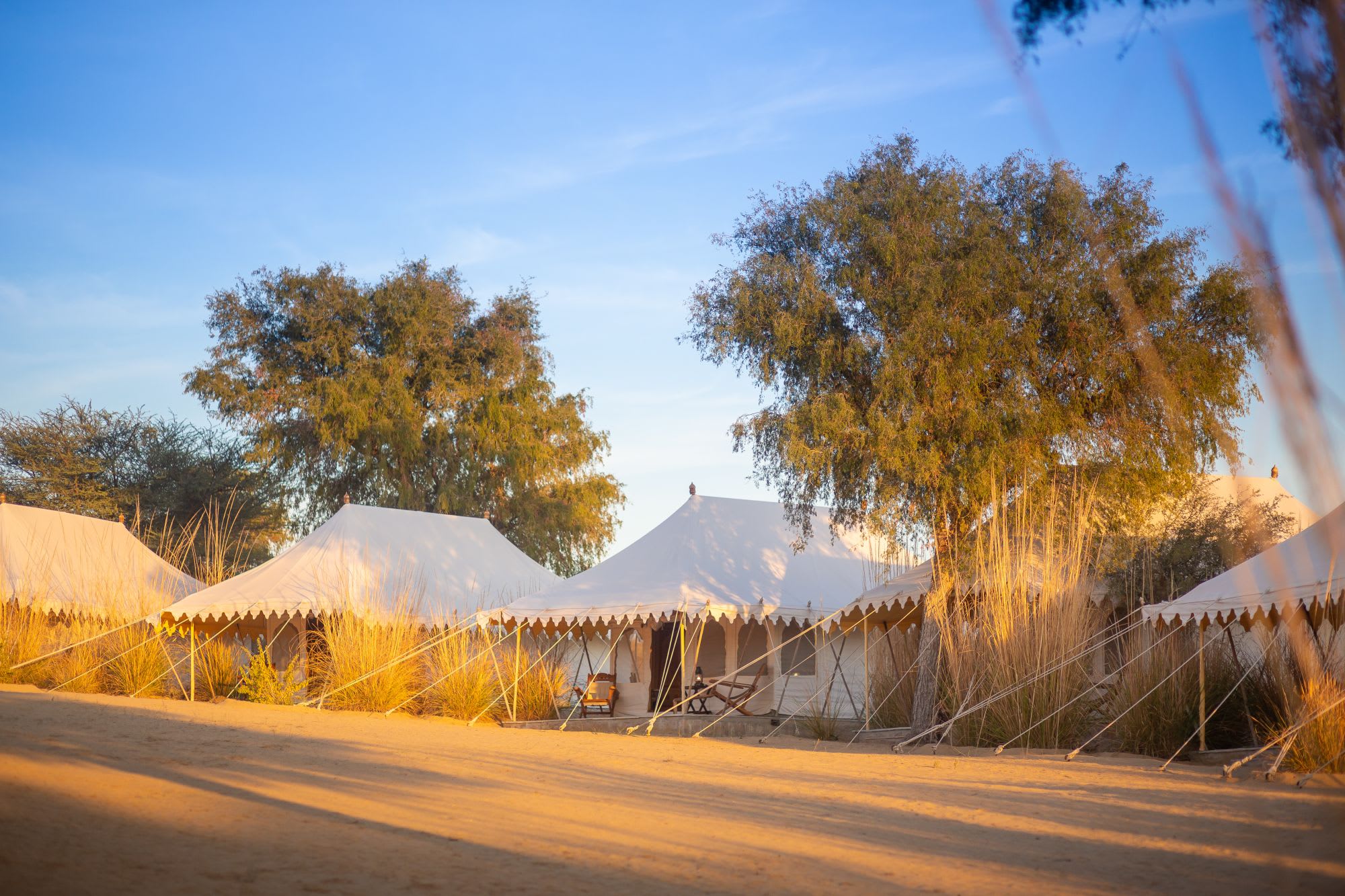 MANVAR Sevan, The Desert Camp in Wüste Thar: exterior: Tents