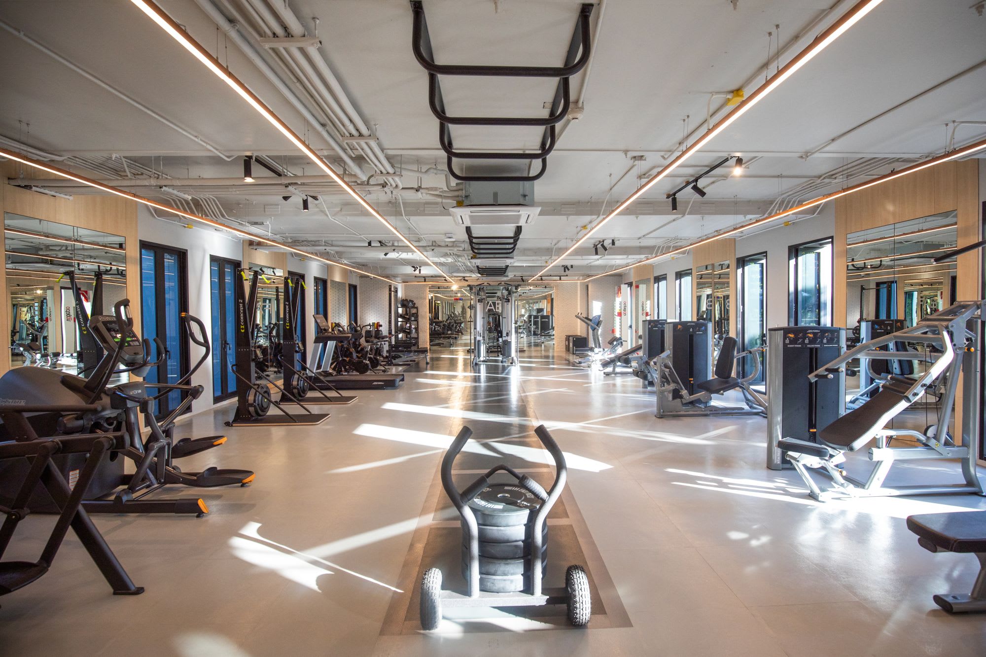 Varana Krabi: Fitness