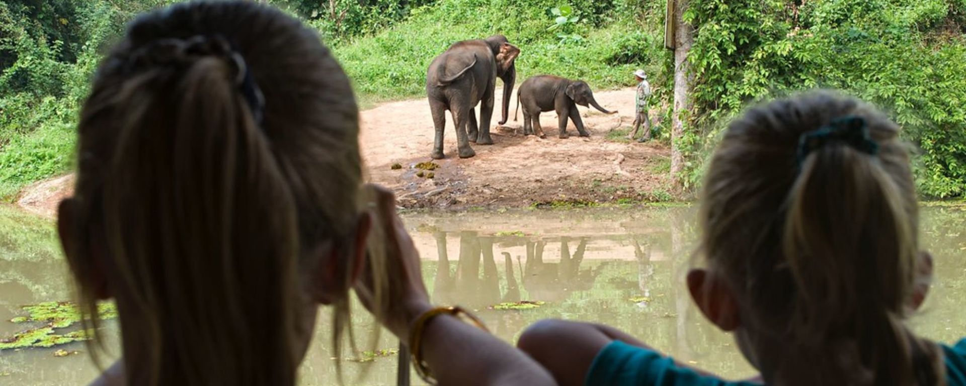 Im Reich der Elefanten ab Luang Prabang: Young visitors observing elephants