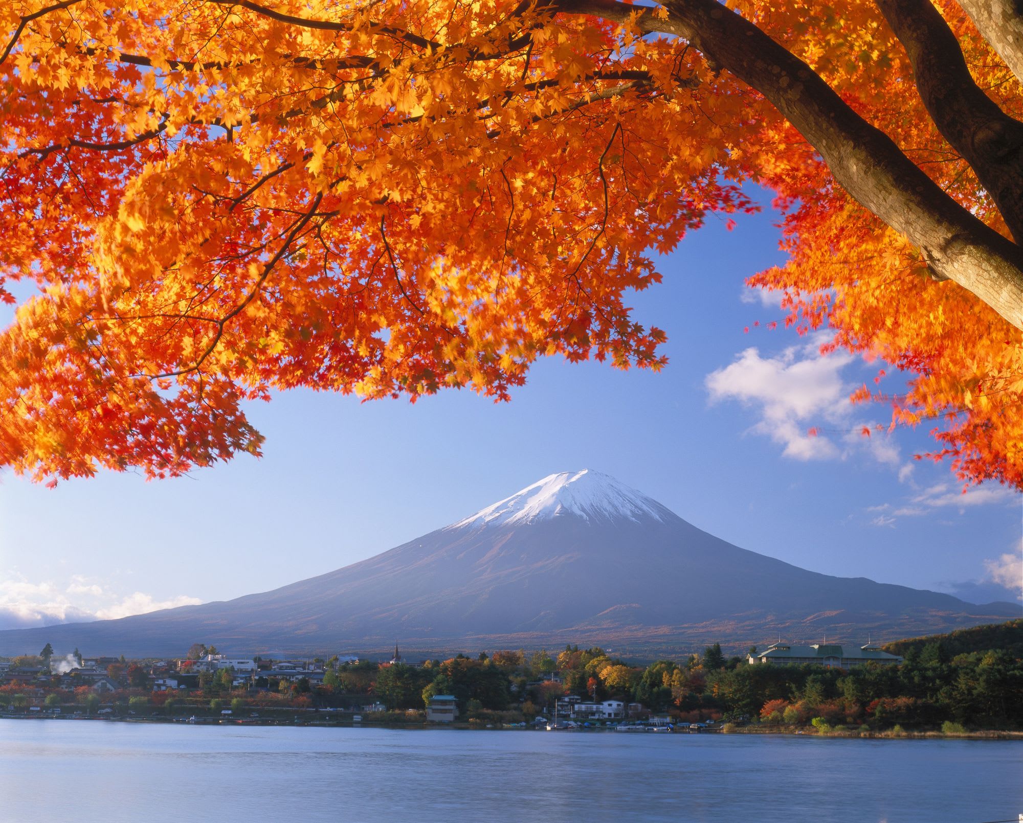 Circuit en groupe «Best of Japan» de Tokyo: Mt. Fuji: autumn colours
