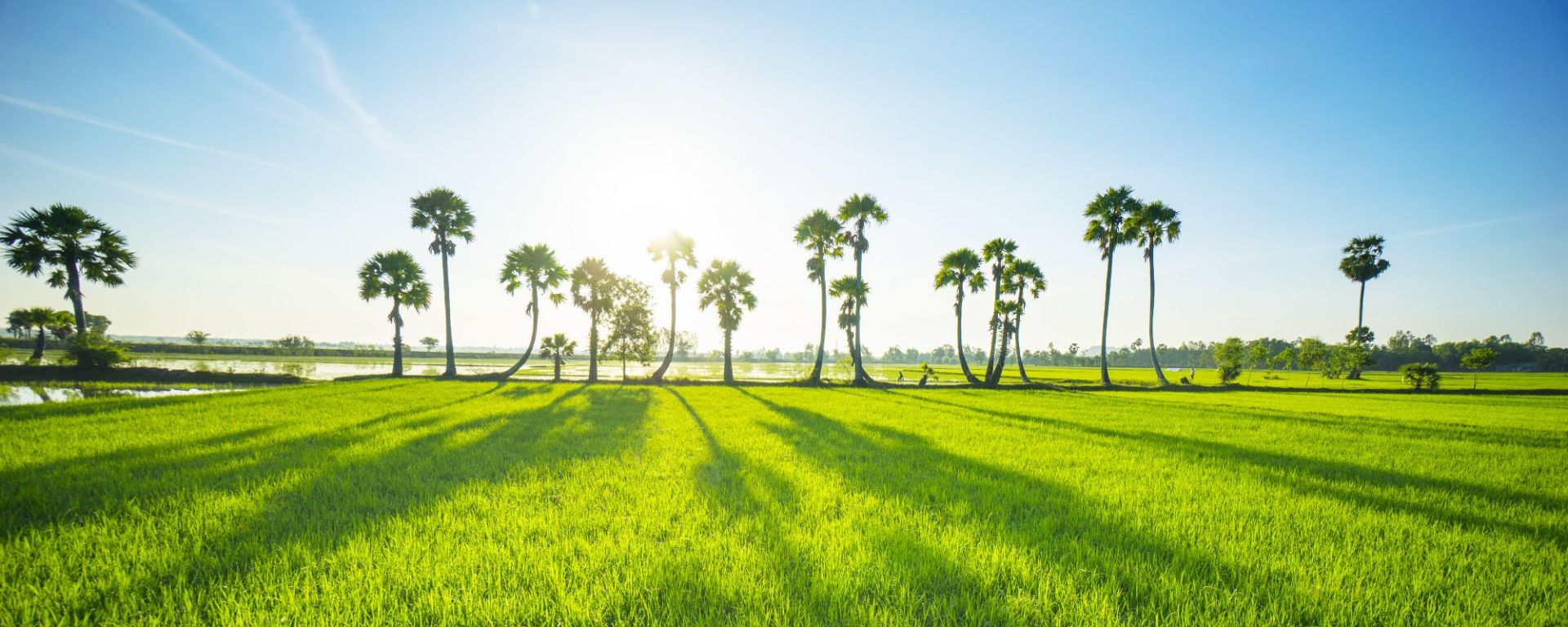 Glanzlichter Vietnams - von Hanoi nach Saigon: Mekong Delta: beautiful countryside