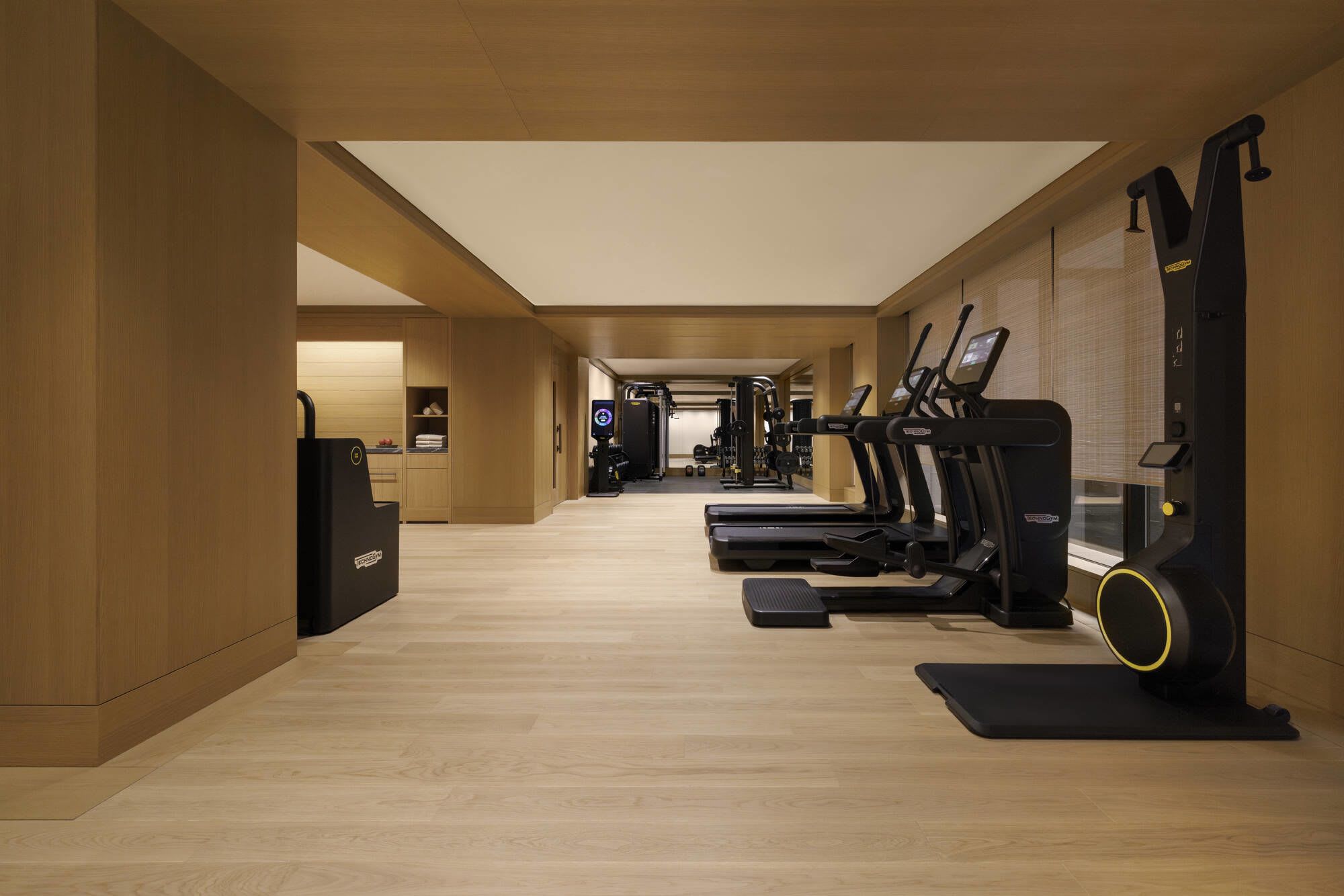Capella Kyoto:  Gym