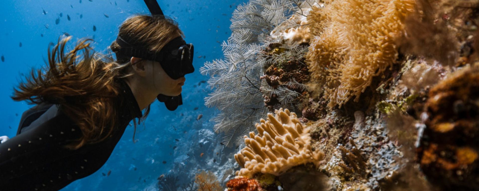 Raja Ampat avec style – Croisière à travers le paradis insulaire préservé de Sorong: Aqua Blu | Snorkeling