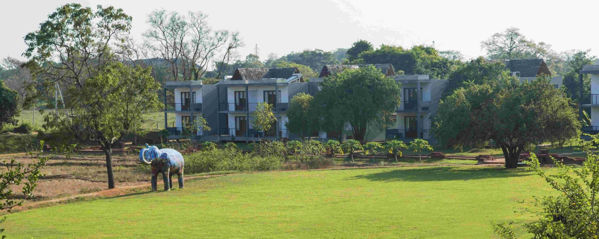 Aliya Resort & Spa in Sigiriya: Garden