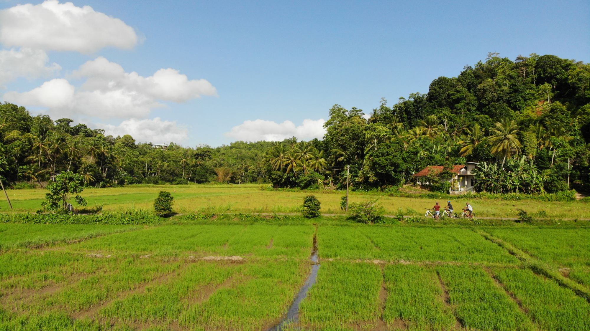 Aktivtour rund um Galle: Cycling Galle