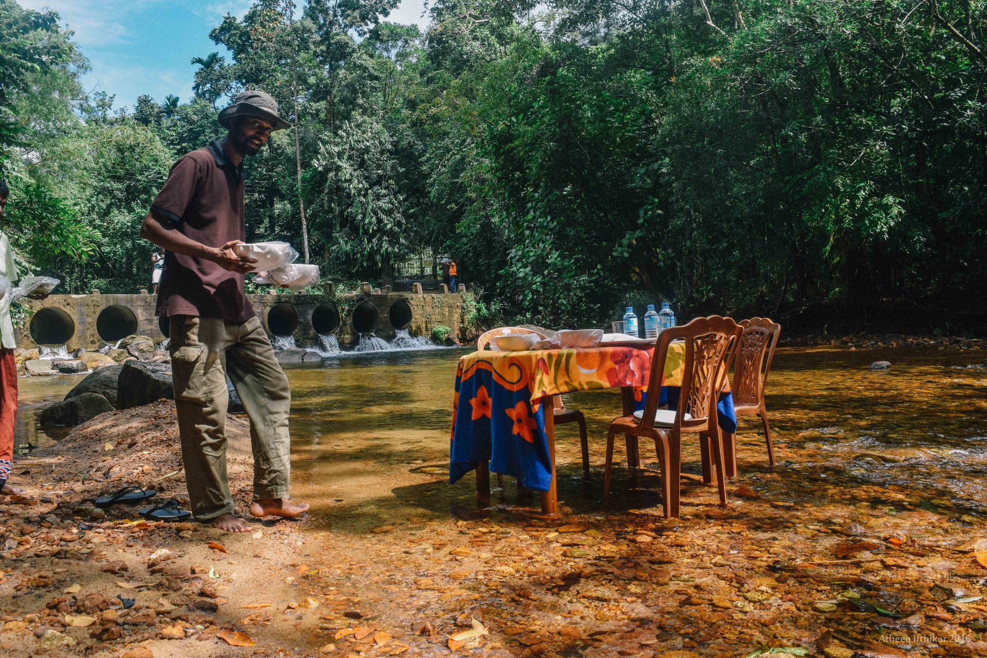 Kanneliya Regenwald in Galle: Kanneliya Rainforest
