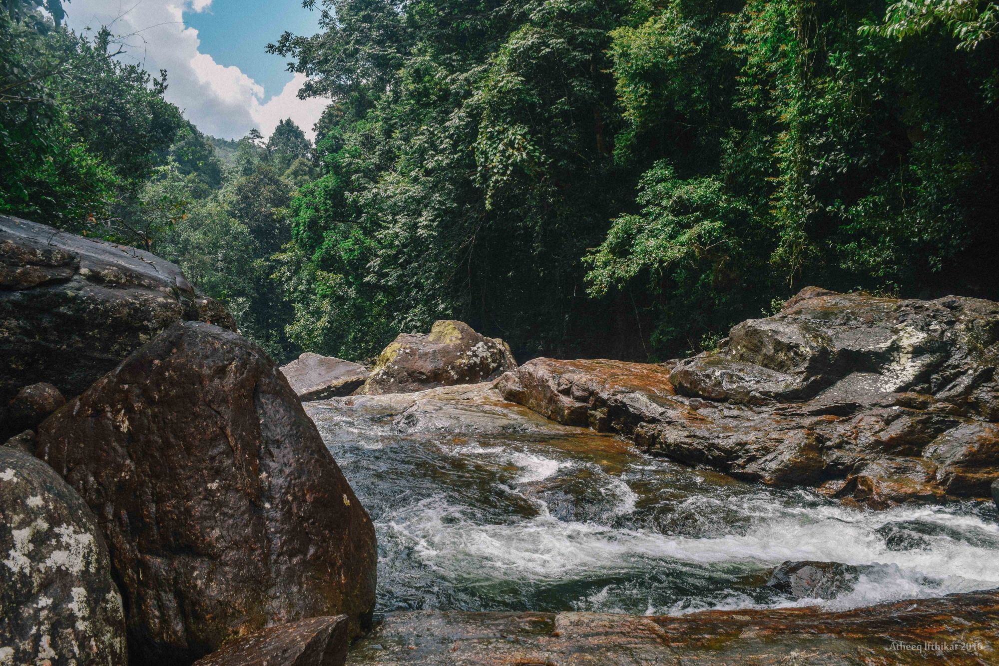Kanneliya Regenwald in Galle: Kanneliya Rainforest