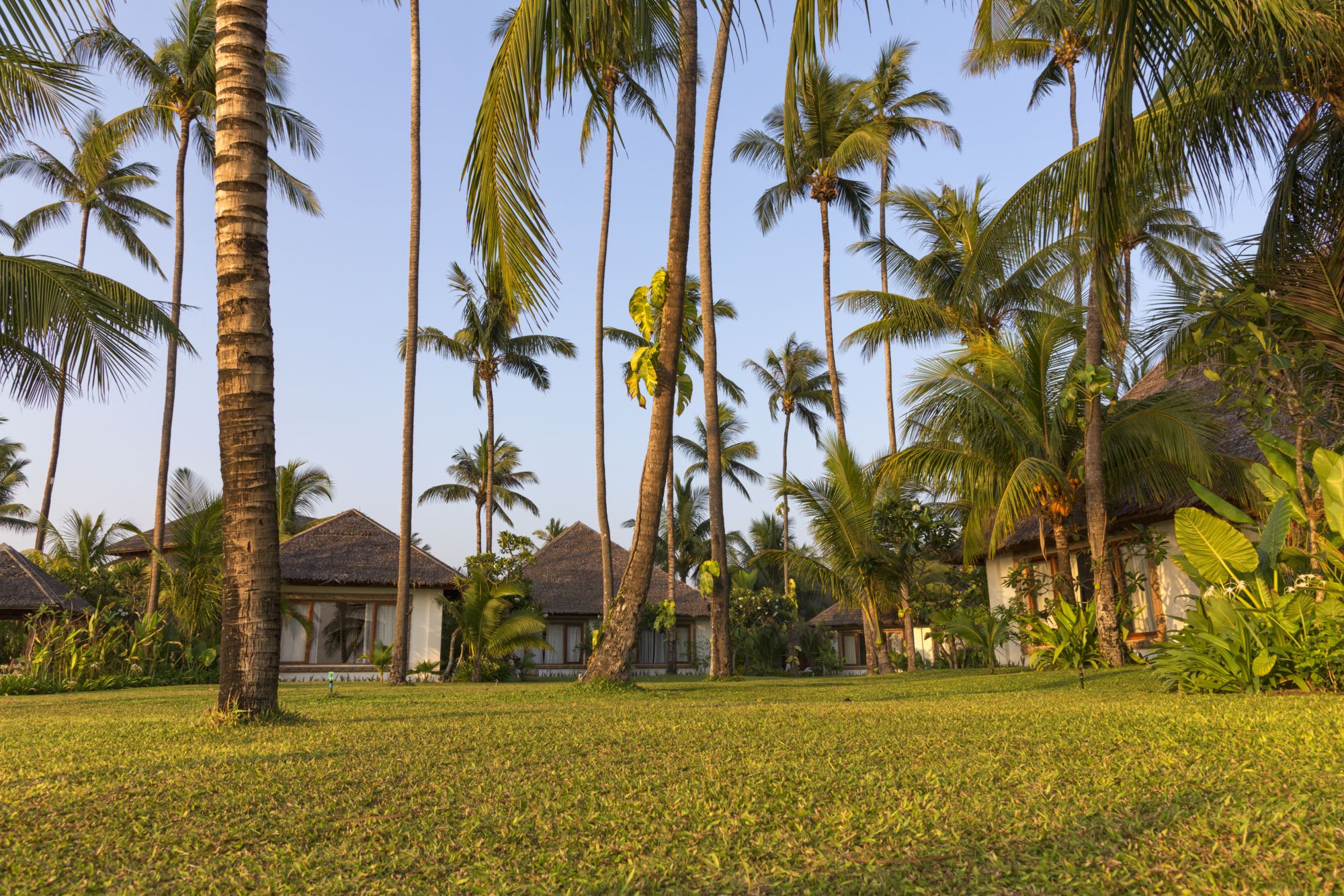 Ngapali Bay Villas & Spa: Garden