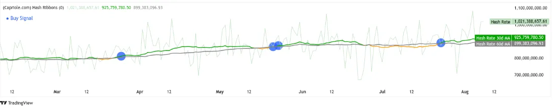 A chart from TradingView titled "(Capriole.com) Hash Ribbons" showing Bitcoin’s hash rate metrics and Buy Signal markers.