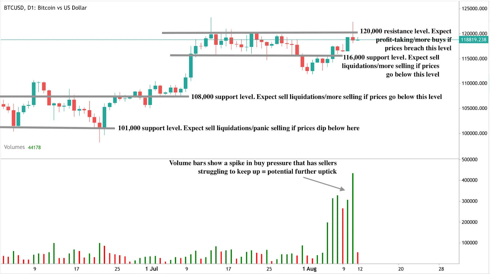 A daily candlestick chart of BTC/USD (Bitcoin vs US Dollar) showing the price at $118,819.