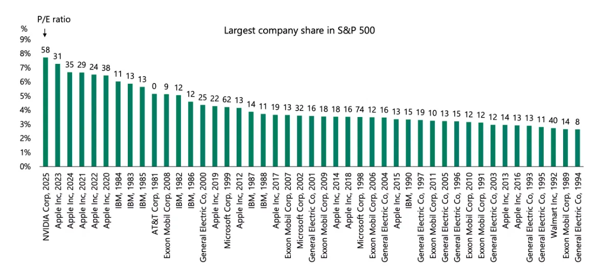 Bar chart showing the largest company share in the S&P 500 over various years, with corresponding P/E ratios