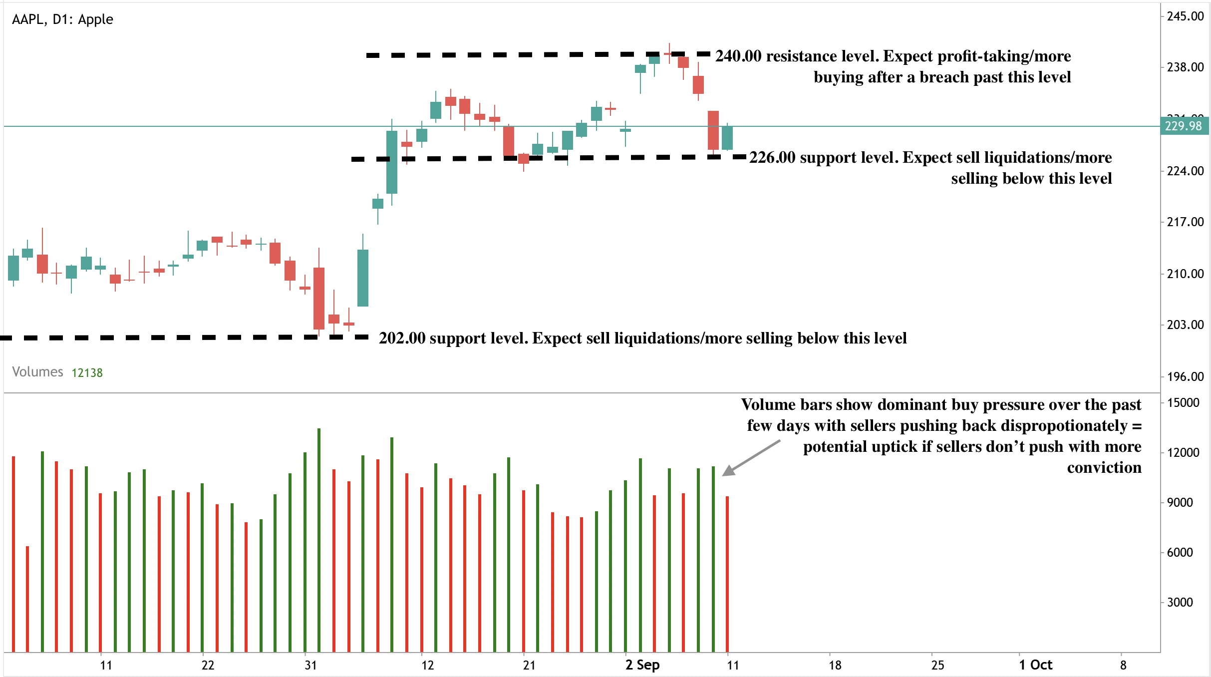A daily candlestick chart of Apple (AAPL) with support and resistance levels marked.