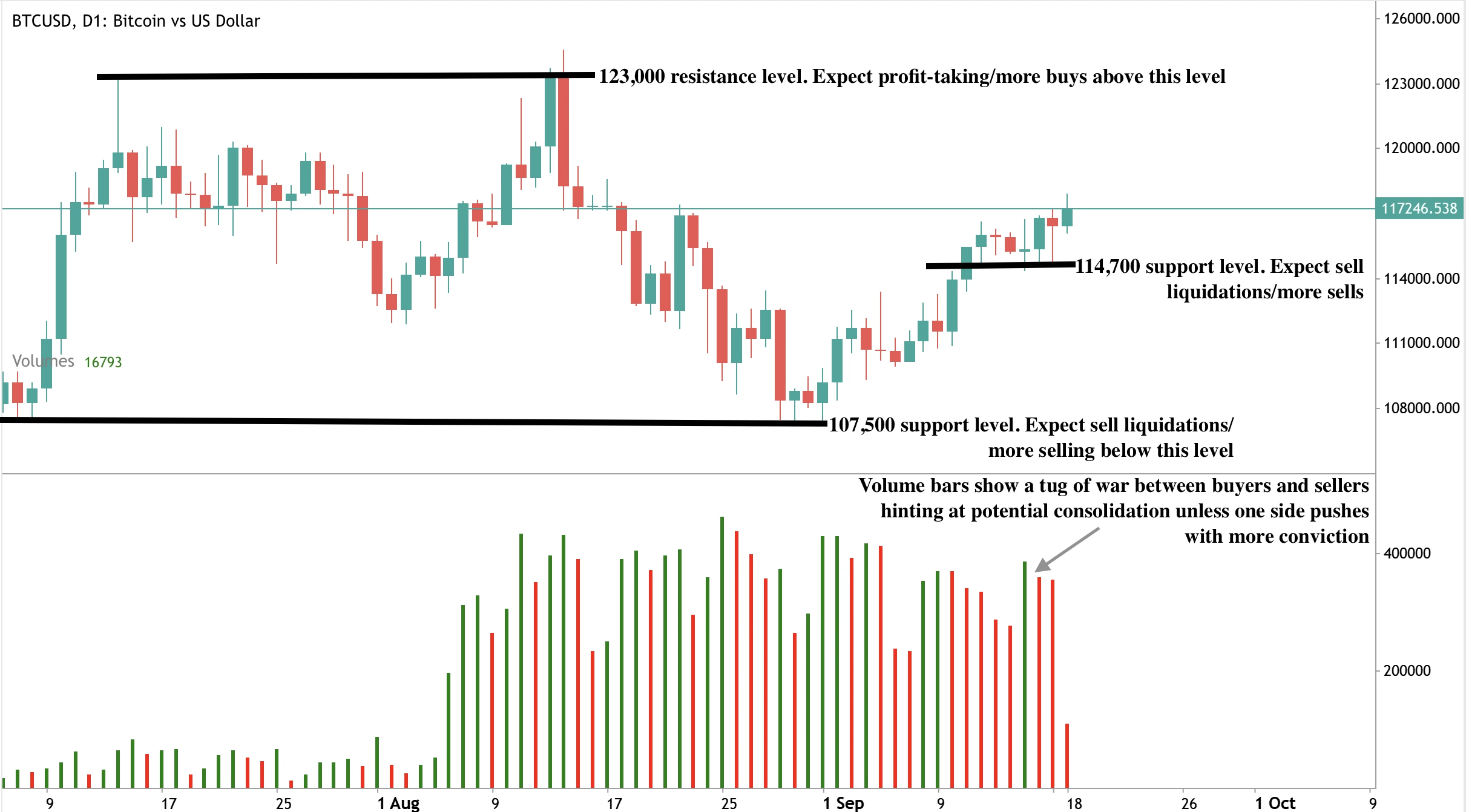 Daily candlestick chart of BTC/USD with key levels marked. Resistance at 123,000 signals potential profit-taking or more buying above.