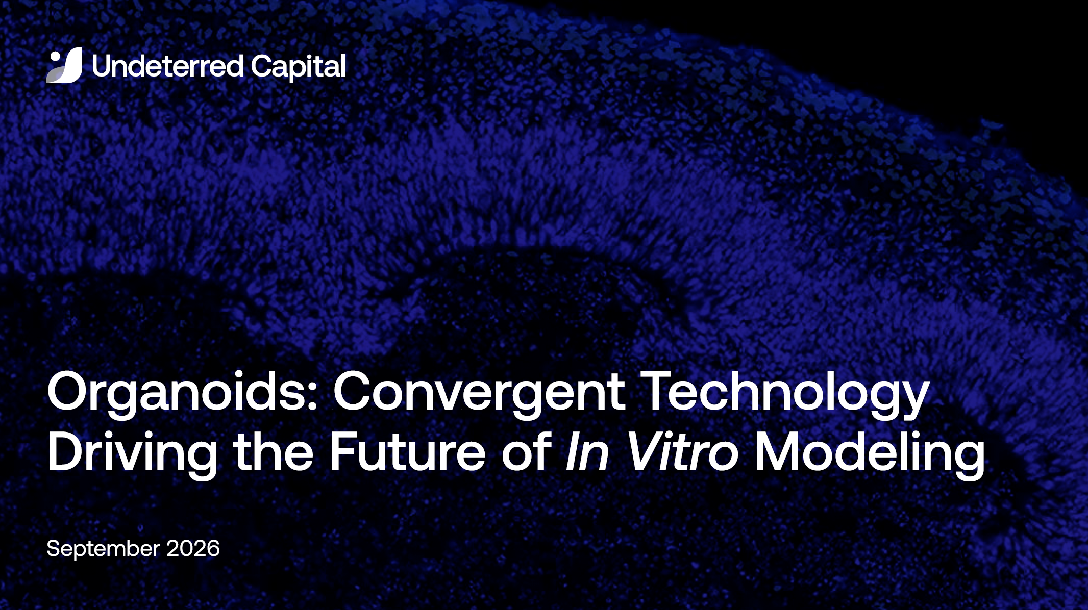 Organoids - the Future of In Vitro Modeling