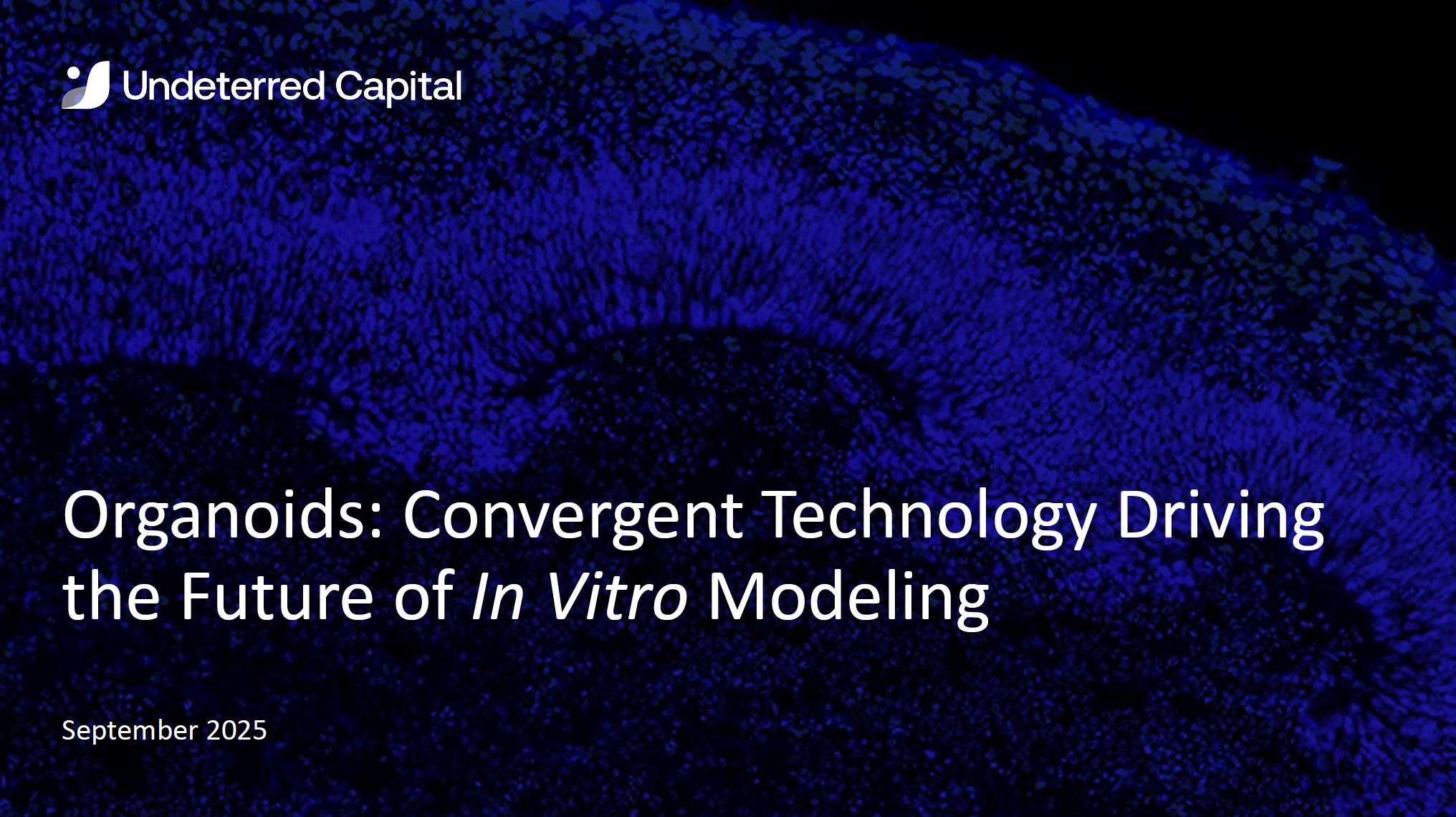 Organoids - the Future of In Vitro Modeling