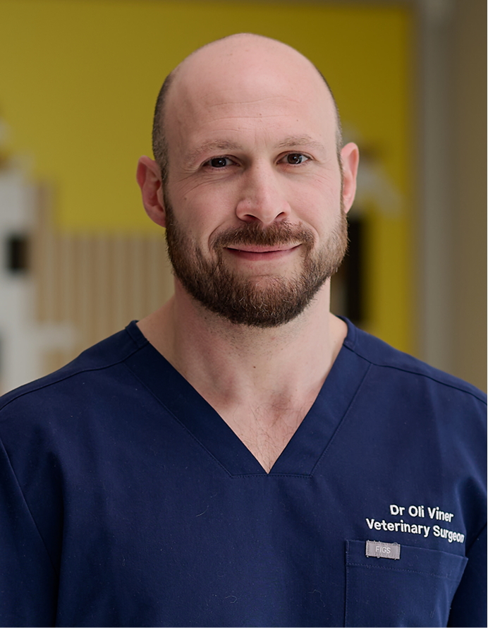 Dr Oliver Viner - hellovet