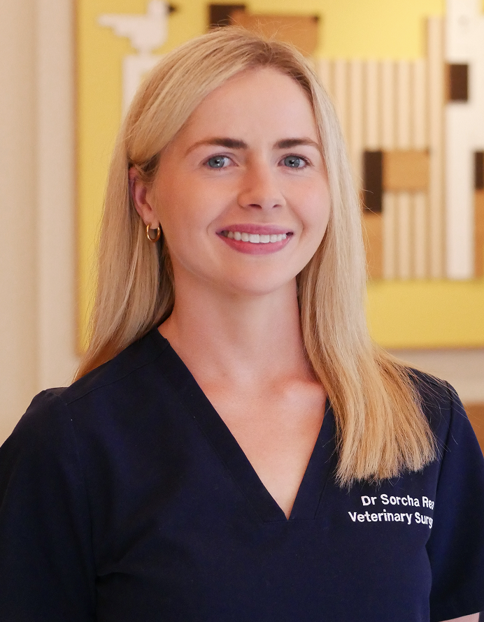 Belinda Andrews-Jones - hellovet