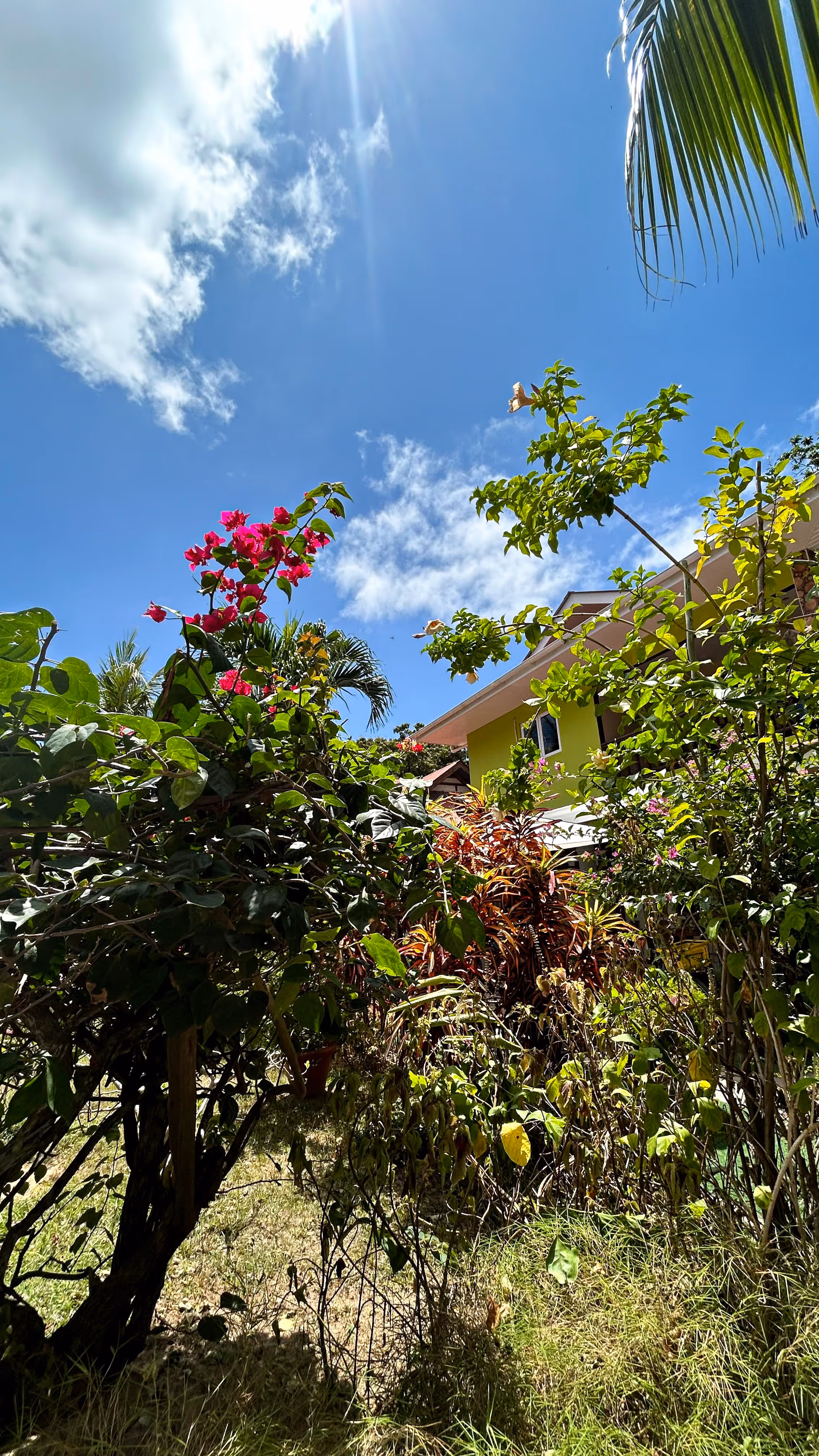 Portfolio Image