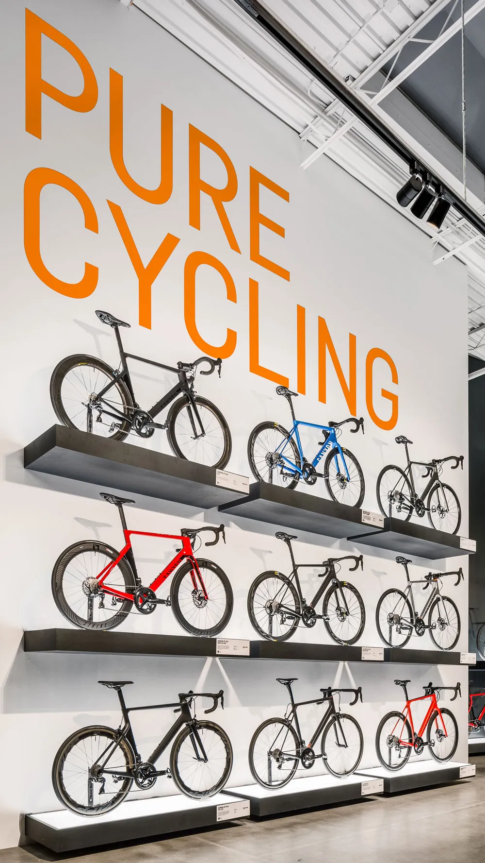 Specialized Bikes display