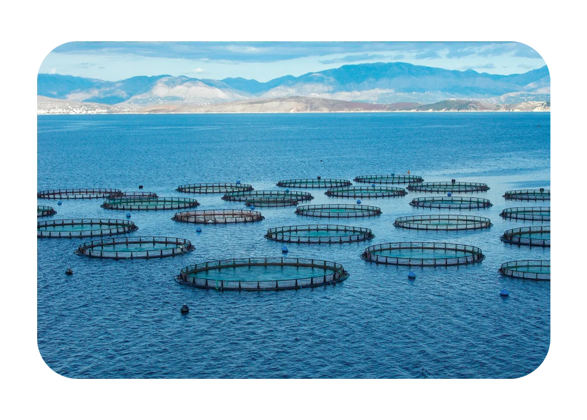Coastal fish farming application showing circular offshore aquaculture nets in the ocean, a prime environment for remote seawater monitoring systems.
