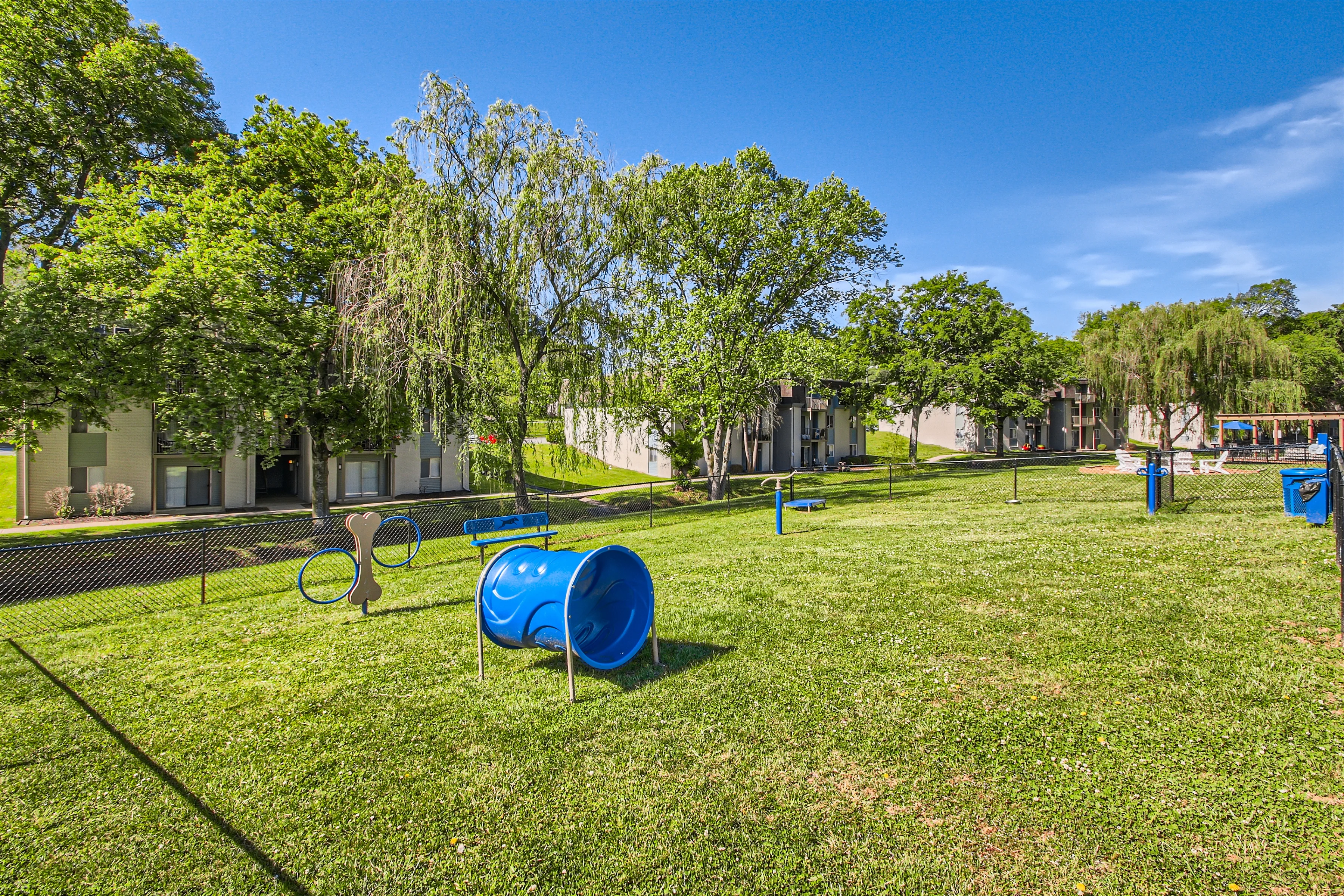 Dog park