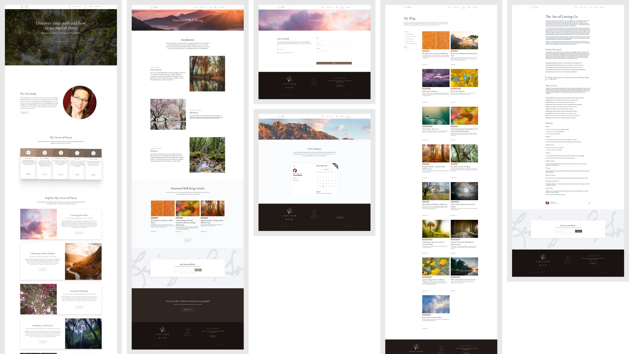 Initial pages of the Coach Lindy LaDow website.