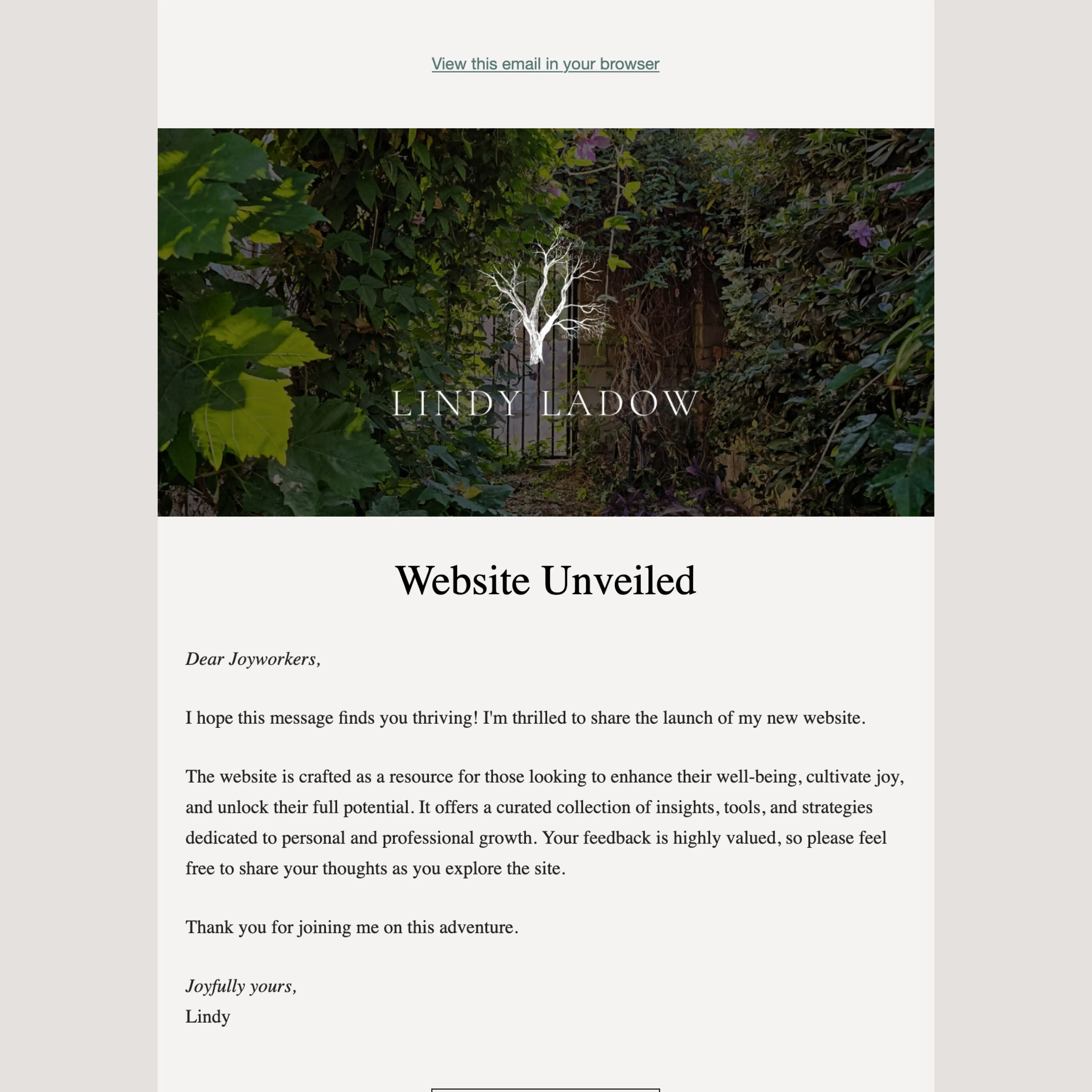 Email template design for Coach Lindy LaDow.