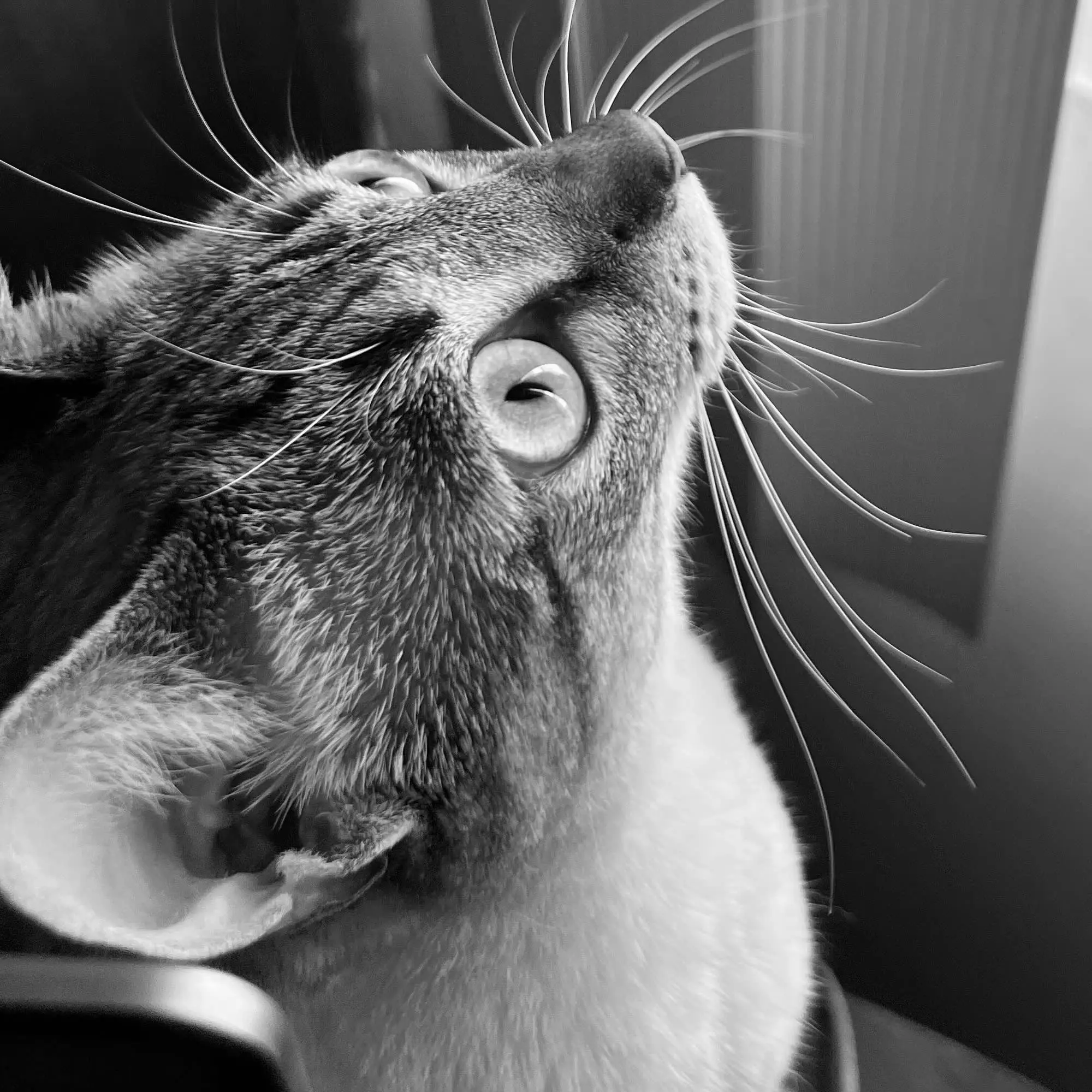 A black and white photograph of John Hansen attempting to smile professionally. 😶