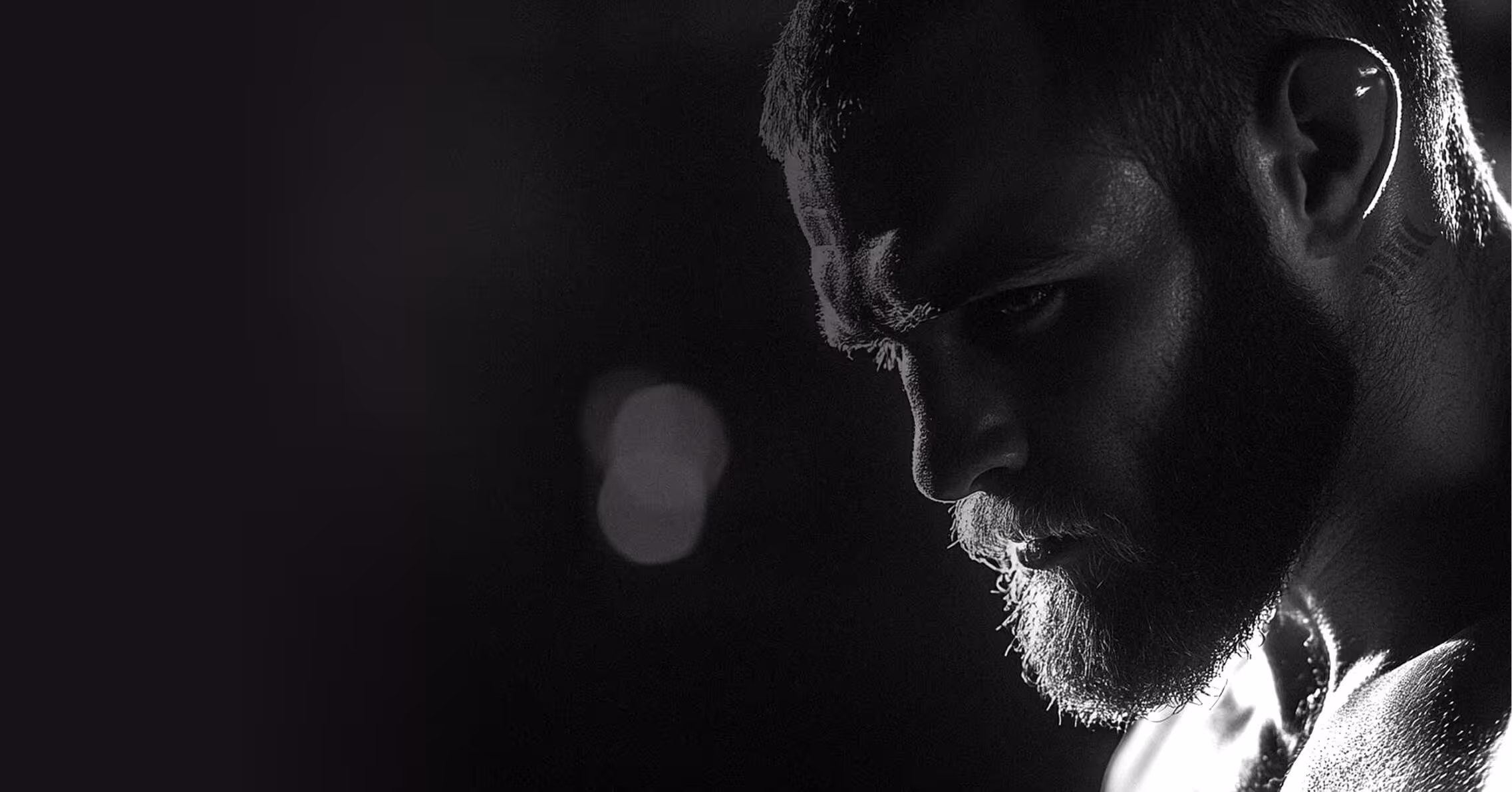 Бойцовский фонд Cloudbet