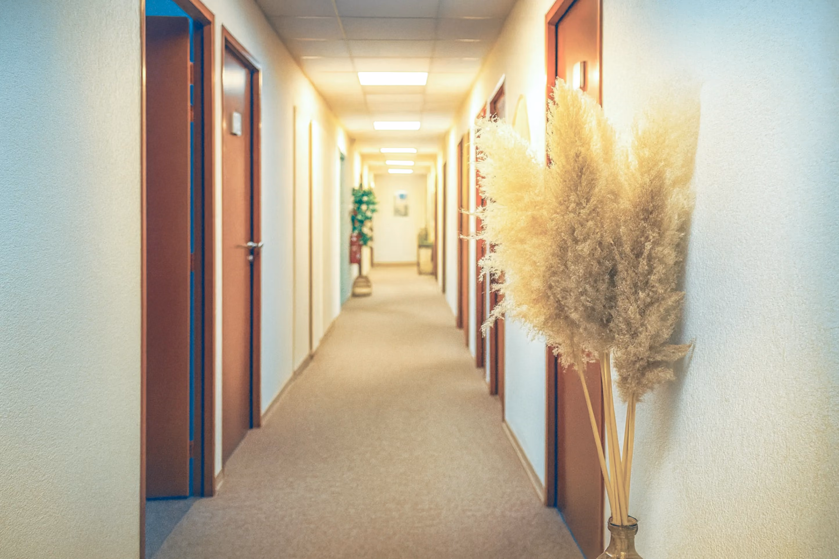 Couloir desservant les bureaux privatifs à l'Espace Entreprise, avec décoration végétale