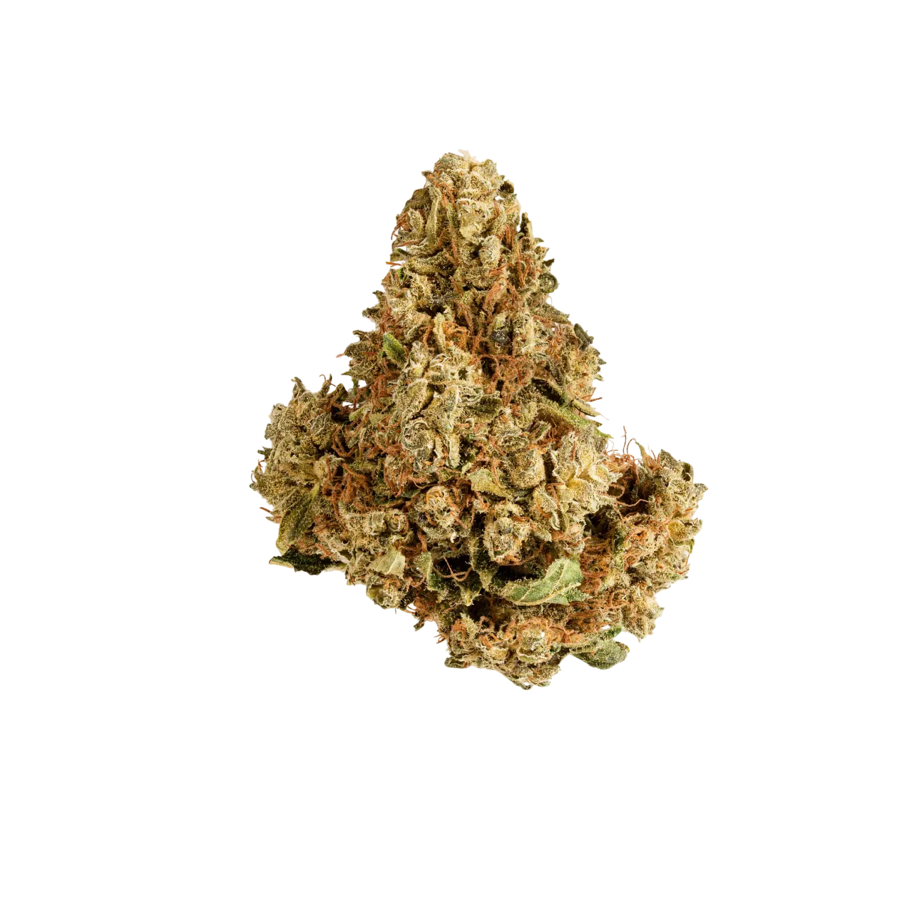 Nahaufnahme einer getrockneten Cannabisblüte von der Cannabis-Sorte Jack Herer mit sichtbaren Trichomen, natürlicher Knospenstruktur und vielfältigen Farbnuancen.