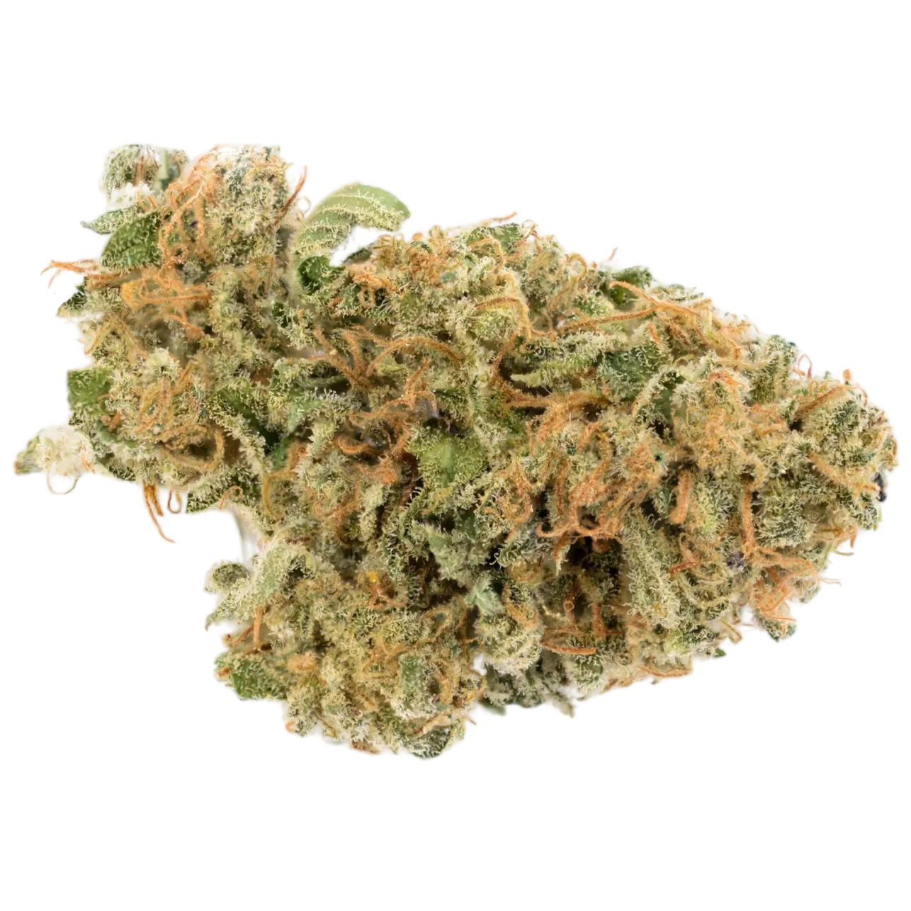 Nahaufnahme einer getrockneten Cannabisblüte von der Cannabis-Sorte Maui Wowie mit sichtbaren Trichomen, natürlicher Knospenstruktur und vielfältigen Farbnuancen.
