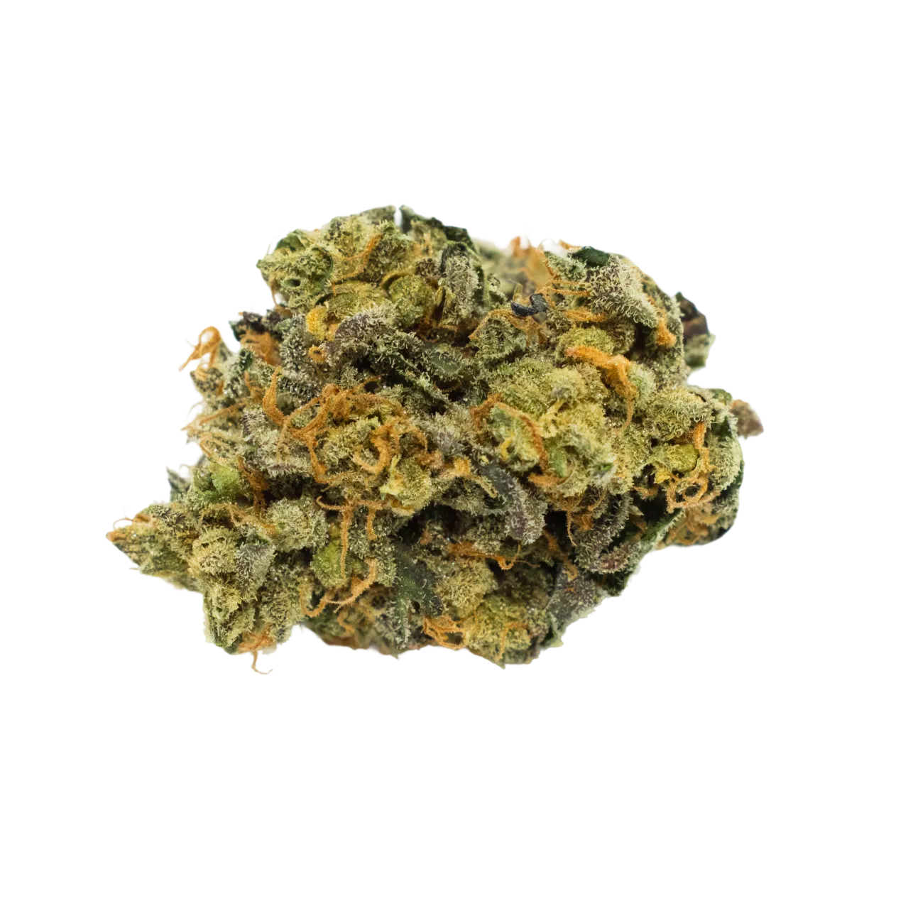 Nahaufnahme einer getrockneten Cannabisblüte von der Cannabis-Sorte Gorilla Zkittlez mit sichtbaren Trichomen, natürlicher Knospenstruktur und vielfältigen Farbnuancen