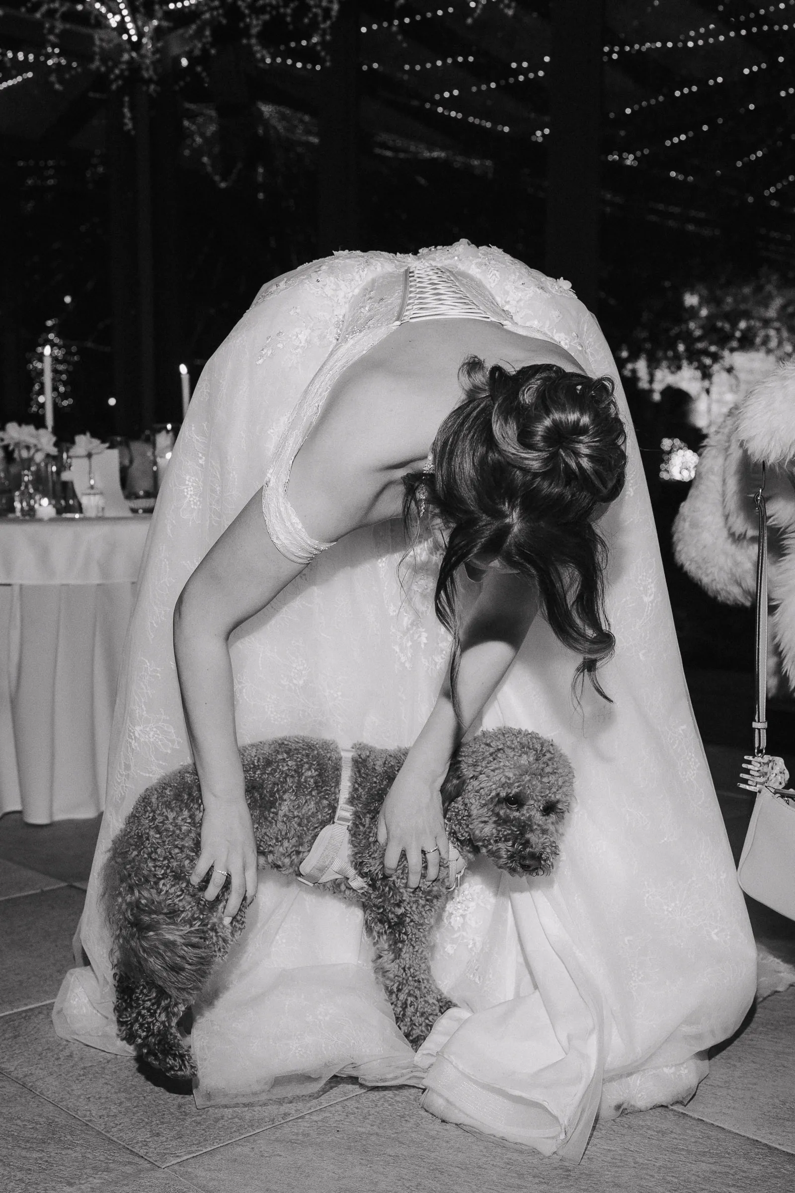 Braut in einem Hochzeitskleid, die sich nach vorn beugt und einen kleinen Pudel streichelt.