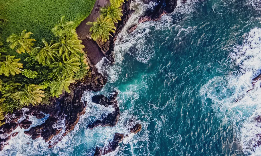 Aerial view of a tropical coastline with palm trees, rocky shore, and turquoise ocean waves crashing.