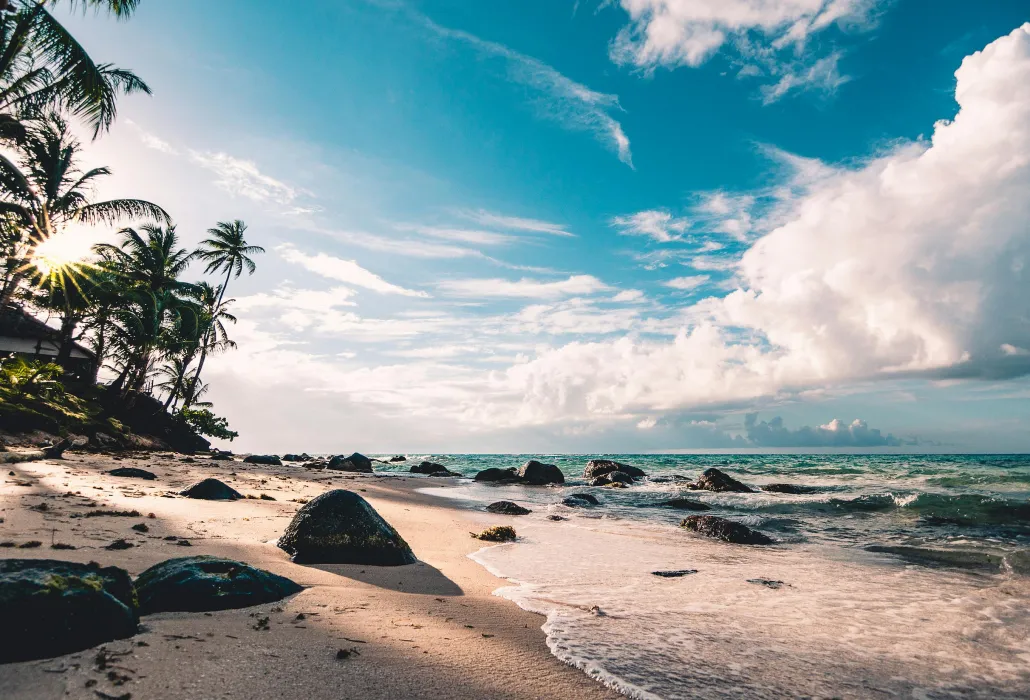 Sunlit beach with waves washing over rocks and palm trees on the left under a partly cloudy sky.