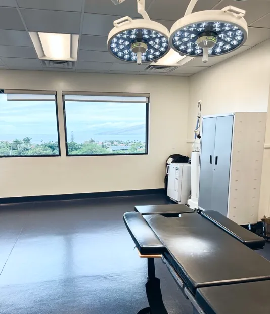 Empty surgical operating room with overhead lights, an operating table, and large windows showing a scenic view outside.