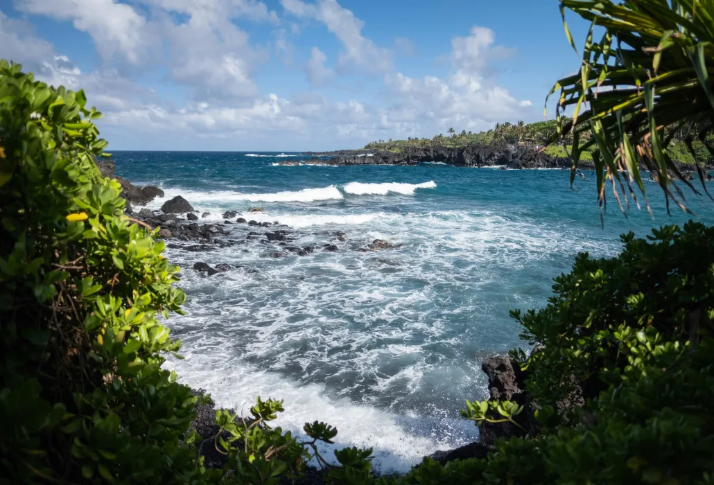 Rocky ocean shoreline with waves crashing and lush green foliage framing the foreground under a partly cloudy blue sky.