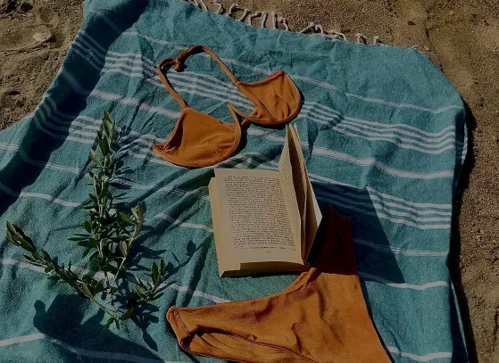 Rust-colored bikini and an open book on a striped blue towel on sandy ground with a small leafy branch.
