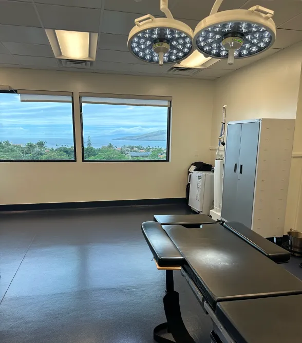Empty medical exam room with an exam table, overhead surgical lights, and large windows showing a scenic view.