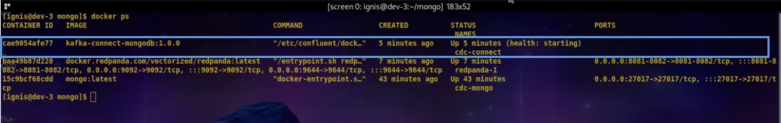 Connect container started and running