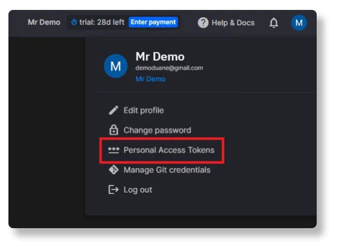 Personal Access Token interface.