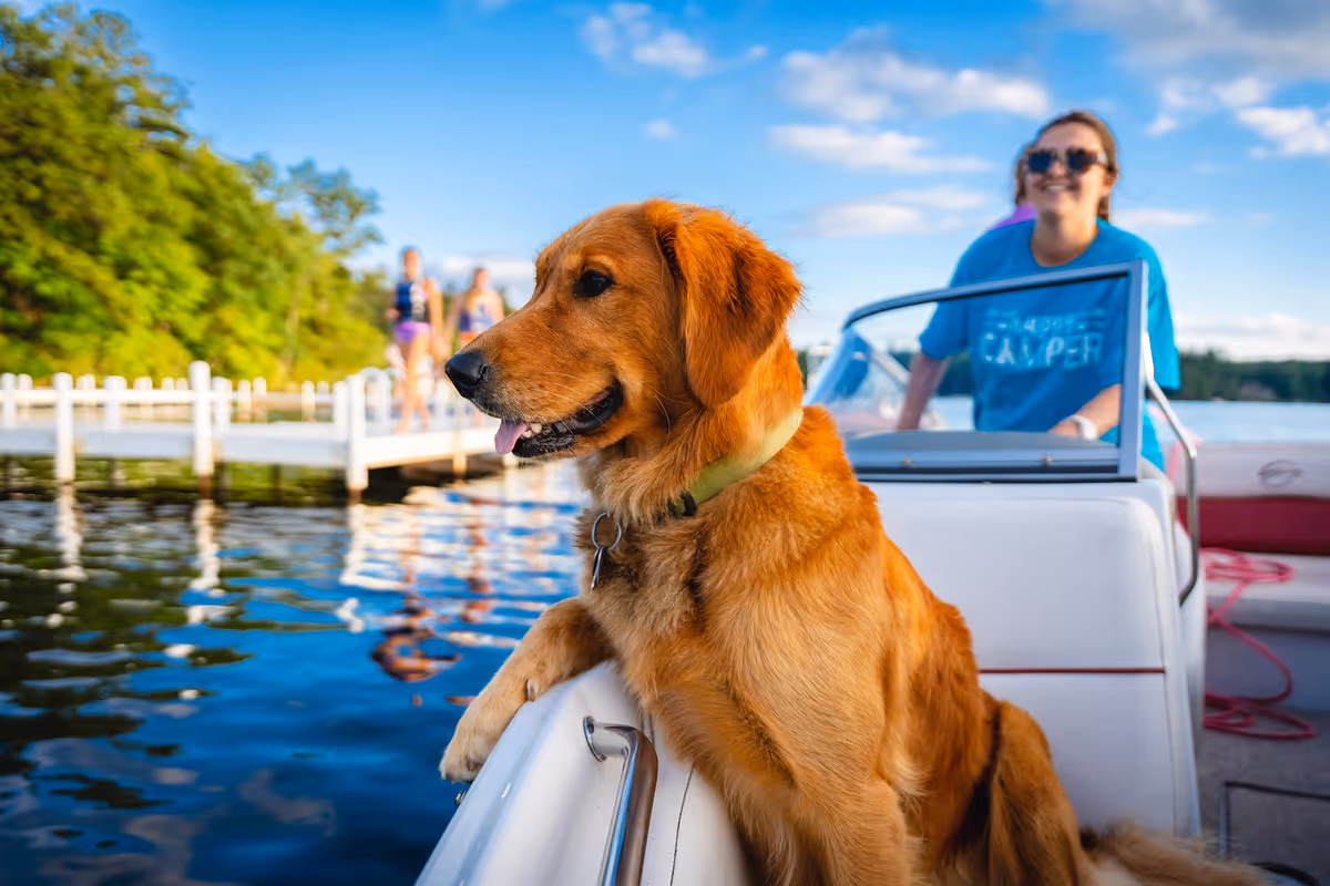 A person working at summer camp on a boat, with a dog sat at the front.