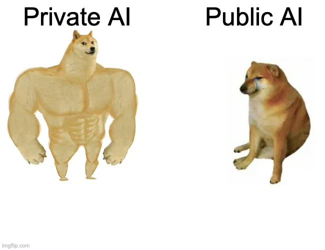 Private AI vs Public AI