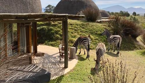 Gondwana Game Reserve Zebra
