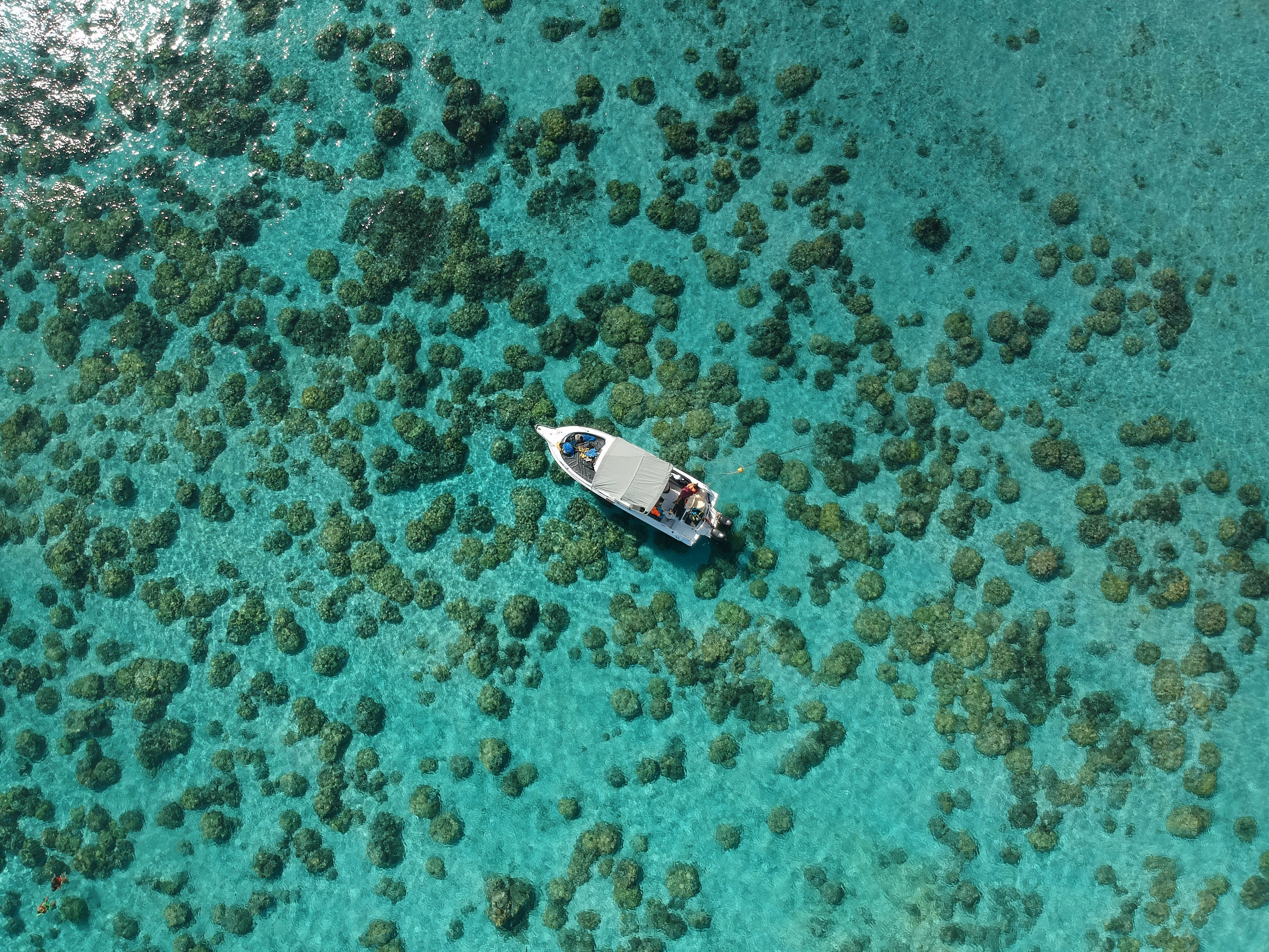 Constance Belle Mare Plage Sailboat