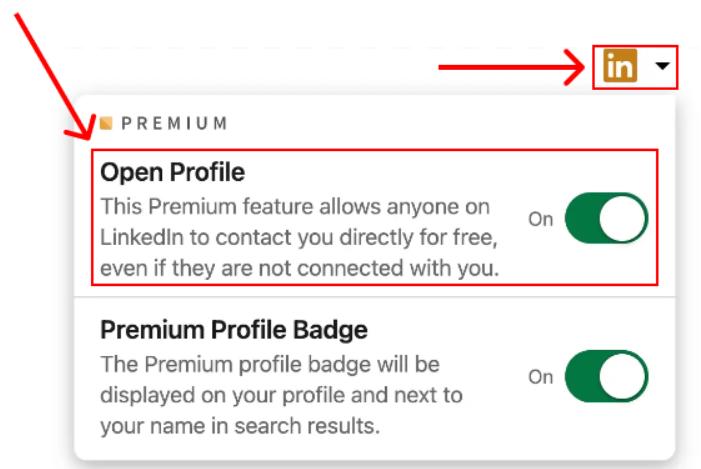 linkedin open profile setting