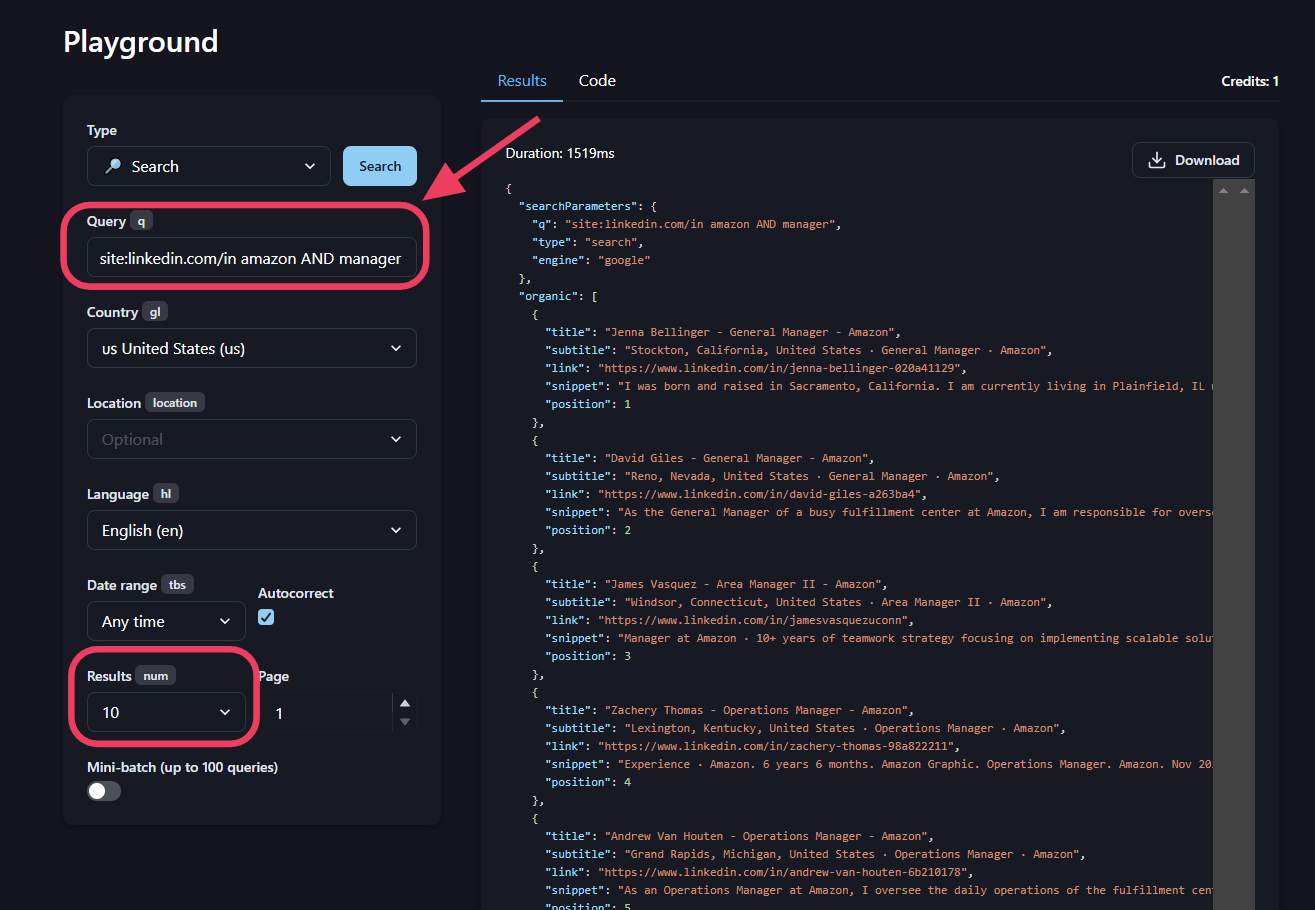 Serper enter search query field