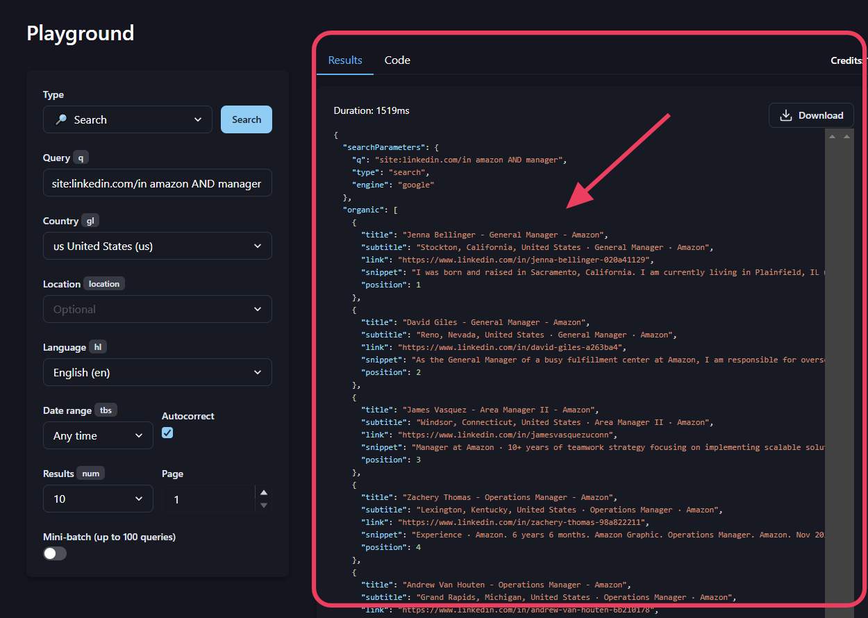 Serper results in JSON