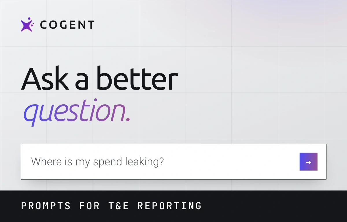 Ask a better question: the Cogent prompt box asking where my spend is leaking.